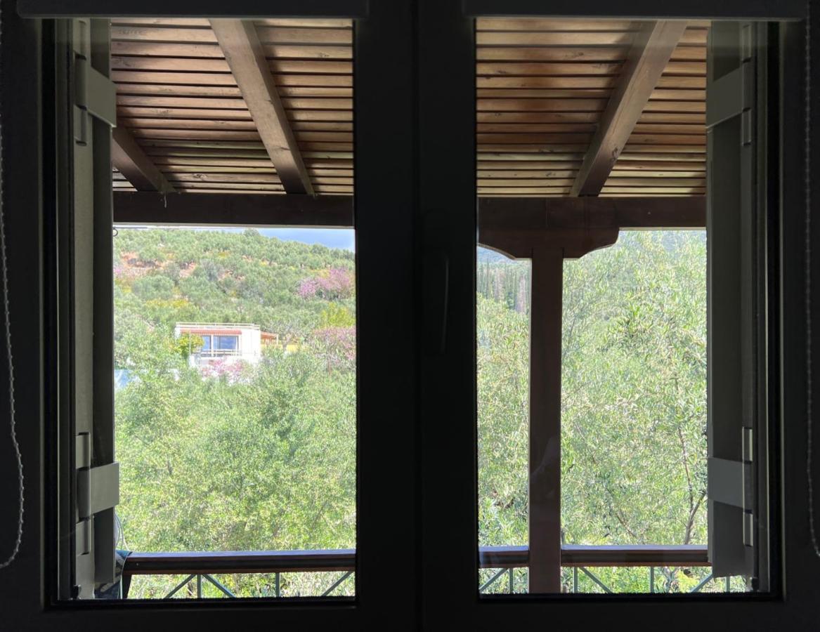 Apartment Panagea *