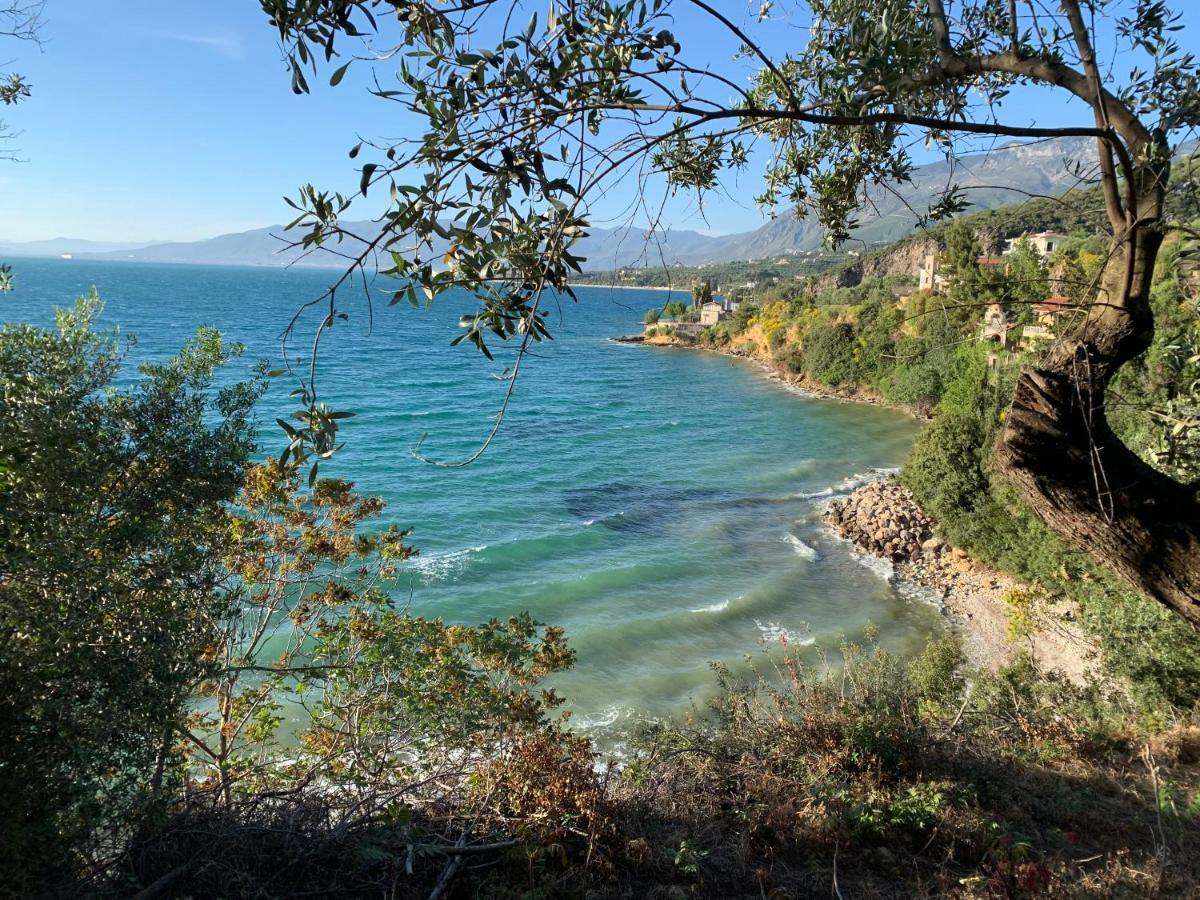 Panagea